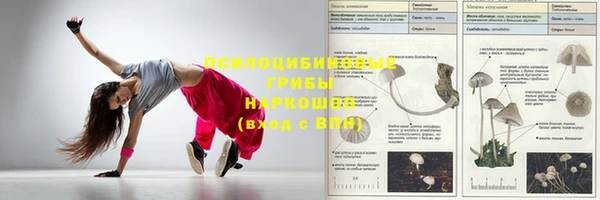 метамфетамин Аркадак