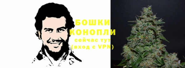 крисы Арсеньев