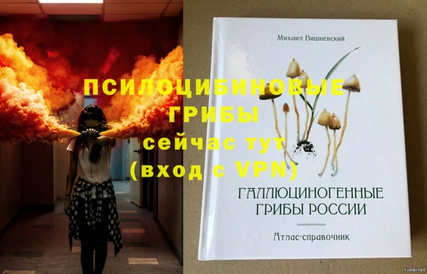 крисы Арсеньев