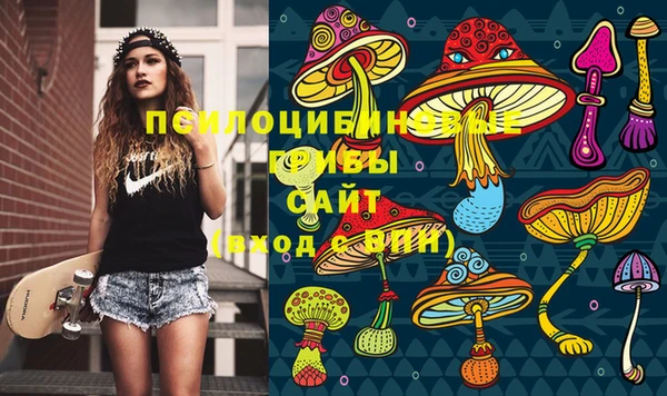 хмурый Армянск